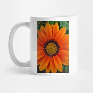 Orange Gazania African Daisies Summer Flower Mug